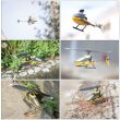 stirlingkit-2-4g-5ch-6-axis-gyroscope-mini-rc-helicopter-aircraft-model-rtf-10.jpg